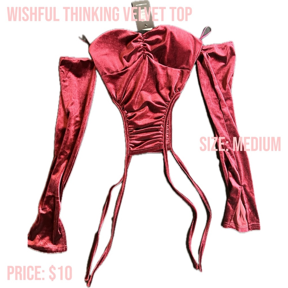 Wishful Thinking Velvet Top
